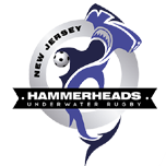 Hammerheads f
